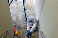 COVID.tile_.medimage